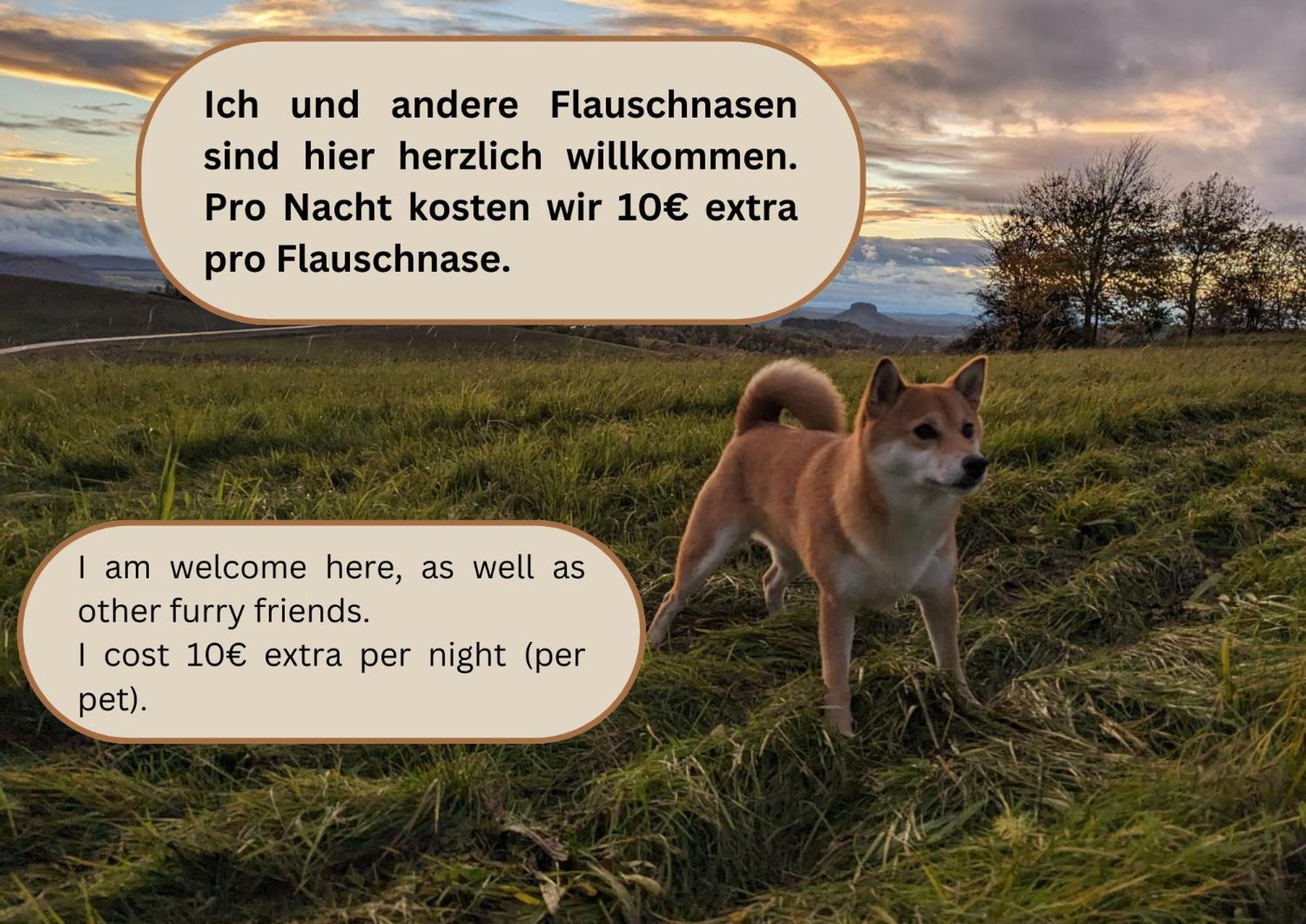 W2 - Urlaubsmagie - Im Herzen Des Elbsandsteingebirges ゼーブニッツ エクステリア 写真